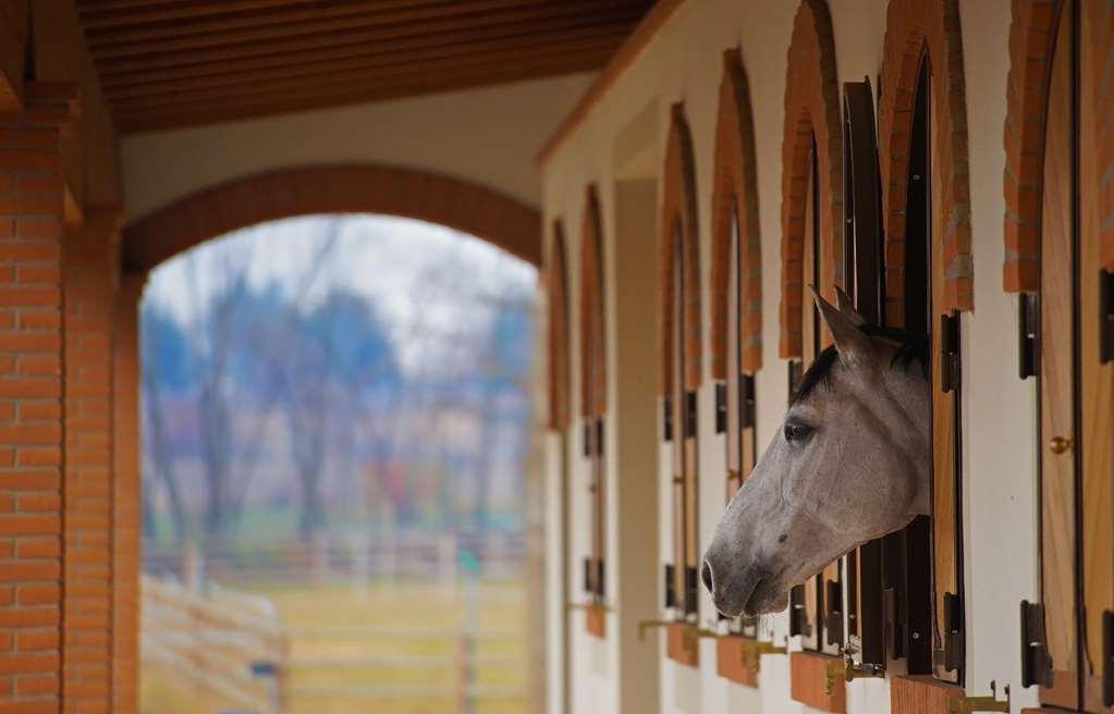 Agriturismo Il Boschetto Ornago Bekvämligheter bild